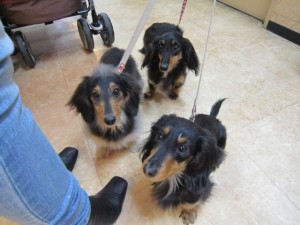 ミルキー ミルキー