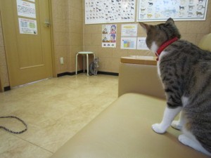 ポプリ (2) ポプリ (2)