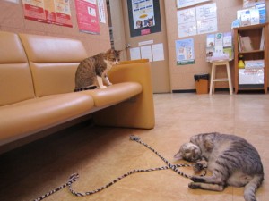 ポプリ (4) ポプリ (4)