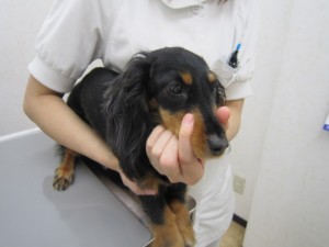 ミルキー (2) ミルキー (2)