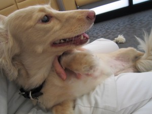 サイカ (2) サイカ (2)