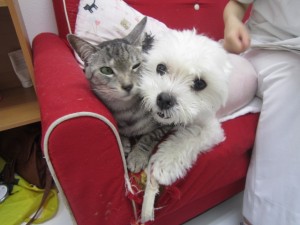 たなもも遊び中