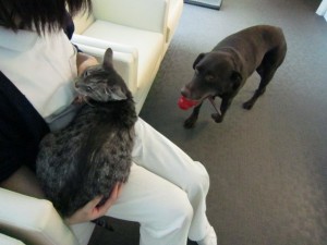 ビスタムーサ２ (3)