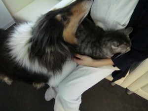 ビスタムーサ２ (5)