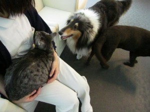 ビスタムーサ２ (4)