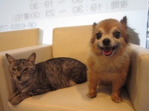 リリー5 リリー5