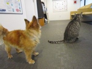 リリー2 リリー2