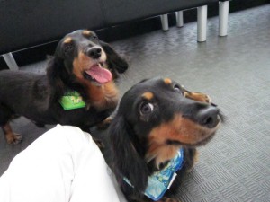 パンチジュニア５