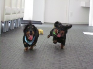 パンチジュニア３