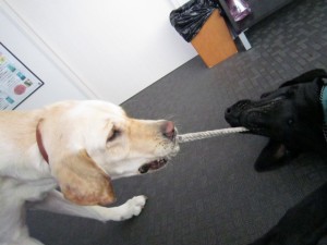 クイン3 クイン3