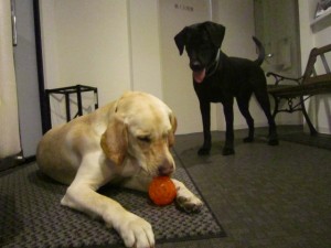 クイン5 クイン5