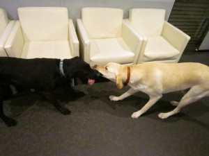 クイン4 クイン4