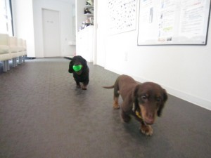 しょうたん・ちゃあたん5