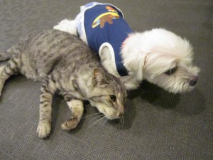 ６ももすけ・たなぽん